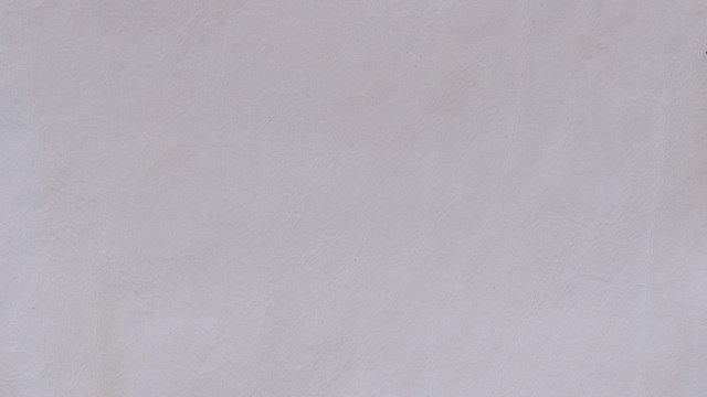 501A-11 EGGSHELL